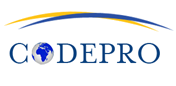 codepro solutions logo